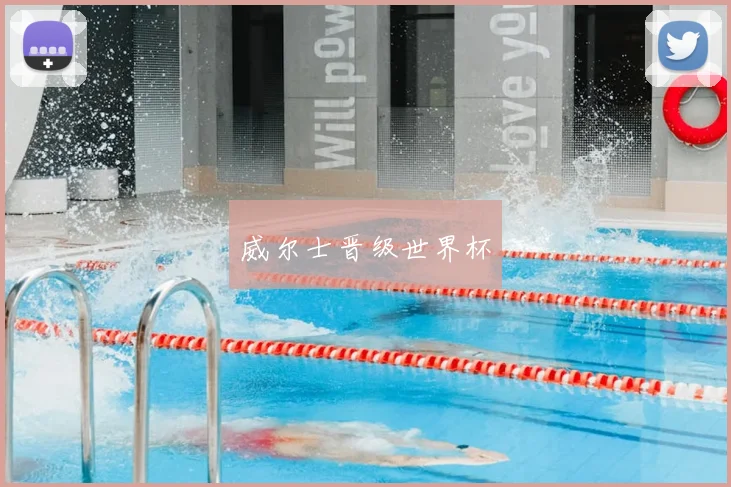 威尔士晋级世界杯