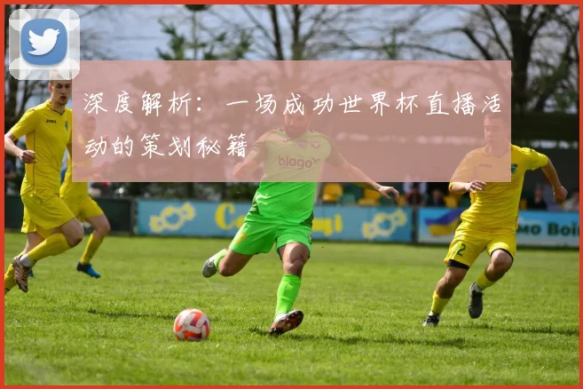 深度解析：一场成功世界杯直播活动的策划秘籍