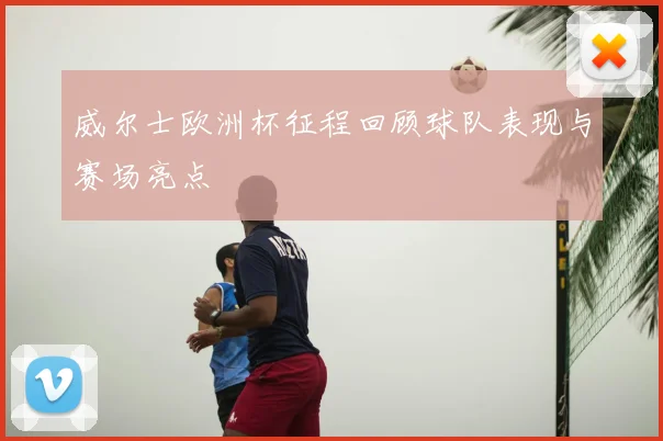 威尔士欧洲杯征程回顾球队表现与赛场亮点