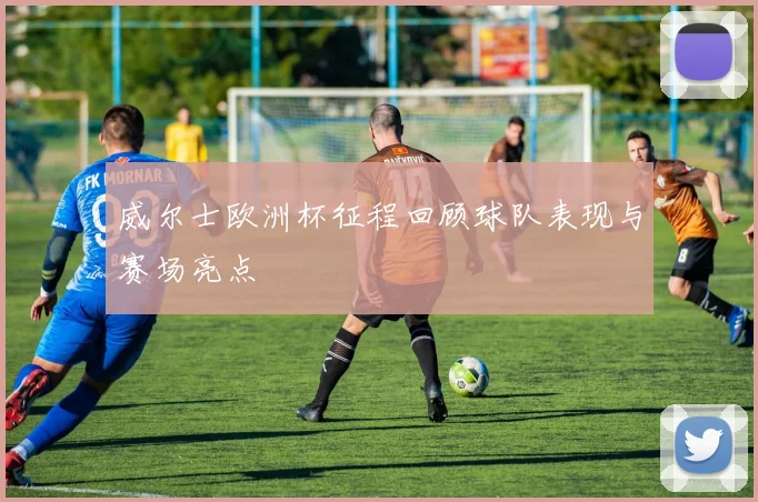 威尔士欧洲杯征程回顾球队表现与赛场亮点